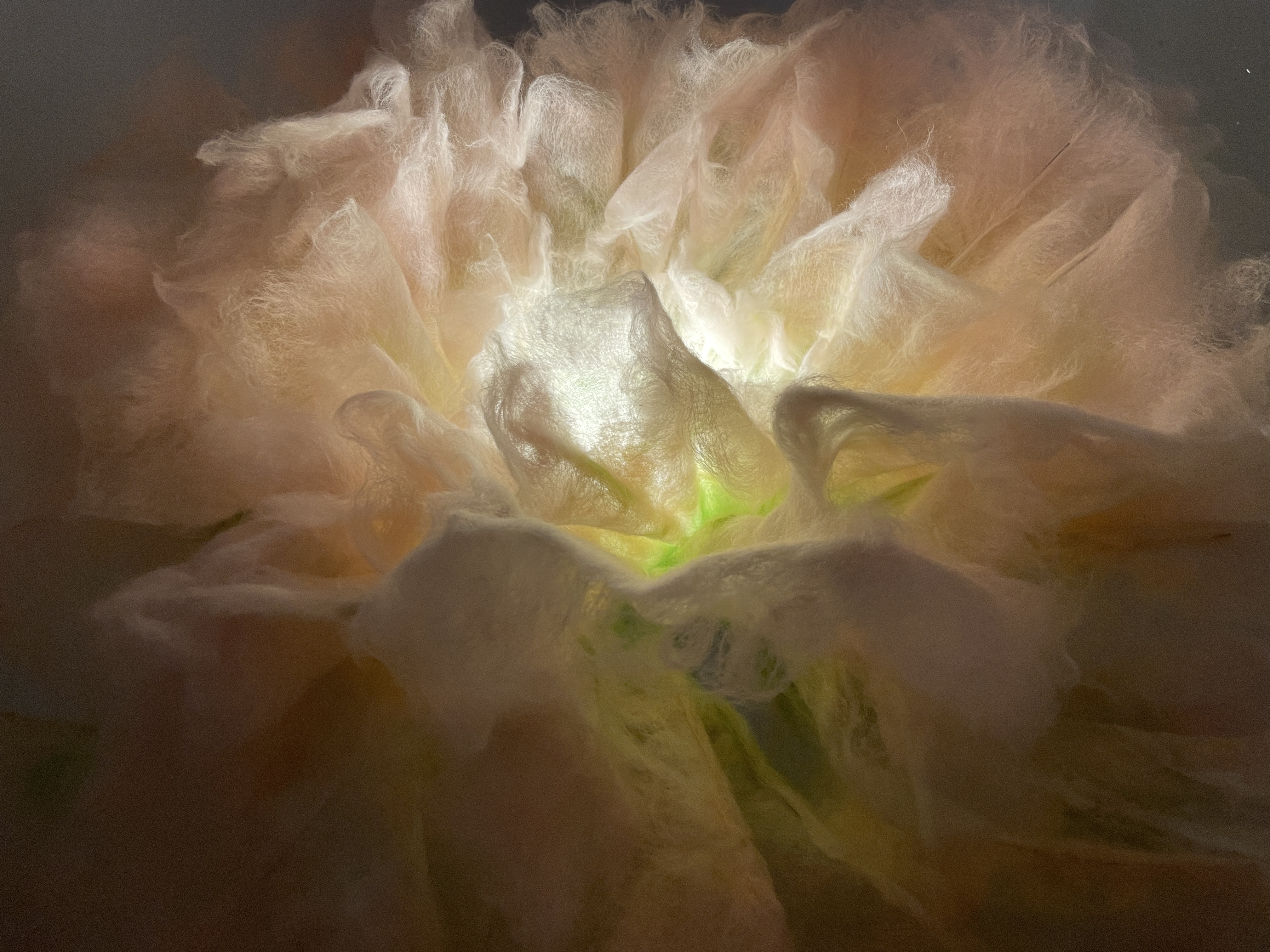 Floral Lamp - Image 2