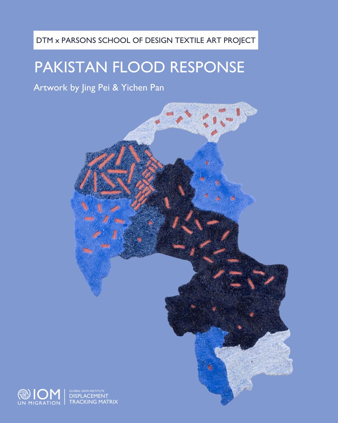 Pakistan Flood Response