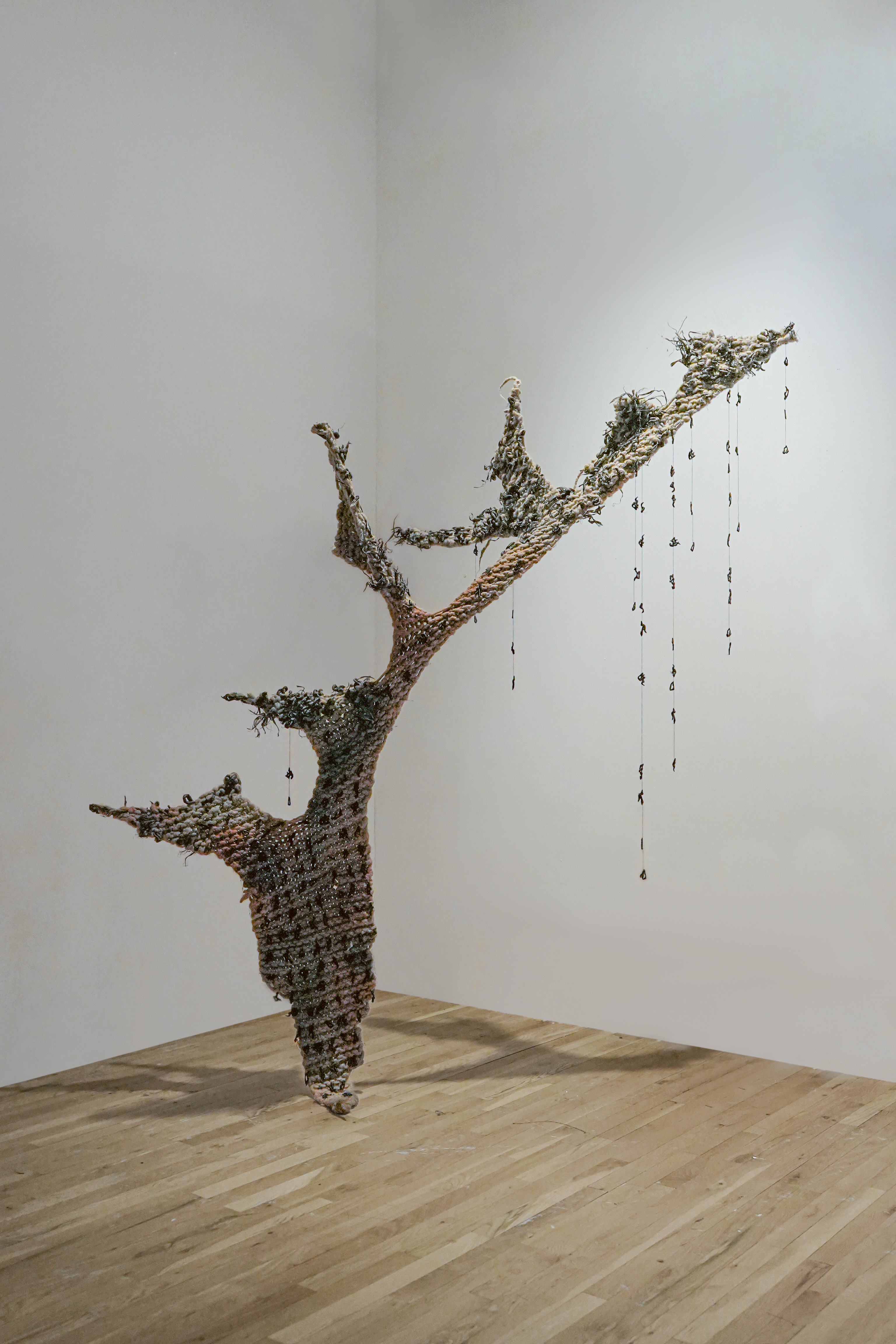 The Weight of Decay - Image 2